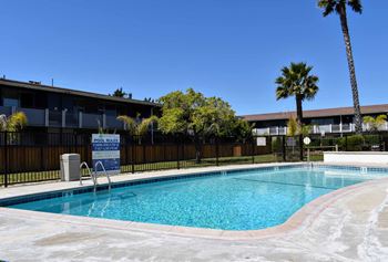 2 Sparkling pools